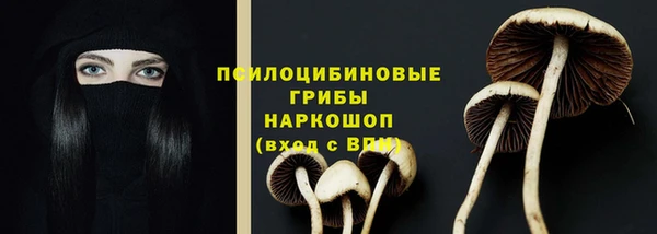 ешки Покров