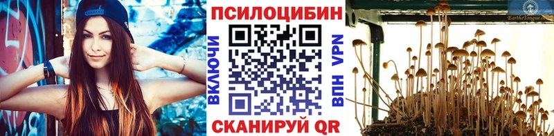 гидра ссылка  магазин продажи   Холм  Псилоцибиновые грибы прущие грибы 